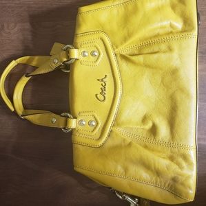 Coach Ashley Satchel